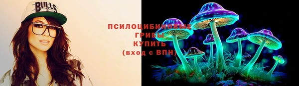 крисы Гусиноозёрск