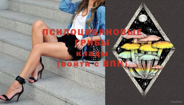 крисы Гусиноозёрск