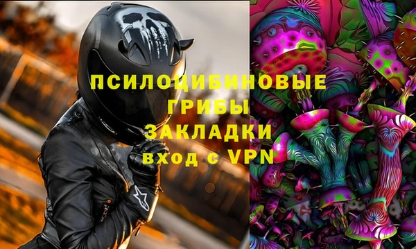 крисы Гусиноозёрск